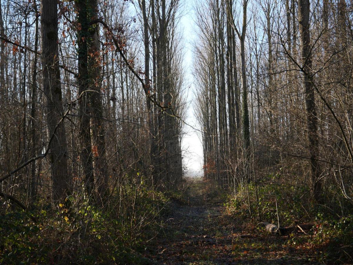 La Cabane Du Chasseur Flines-Les-Mortagne Exteriör bild
