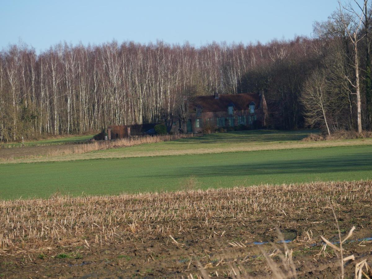 La Cabane Du Chasseur Flines-Les-Mortagne Exteriör bild